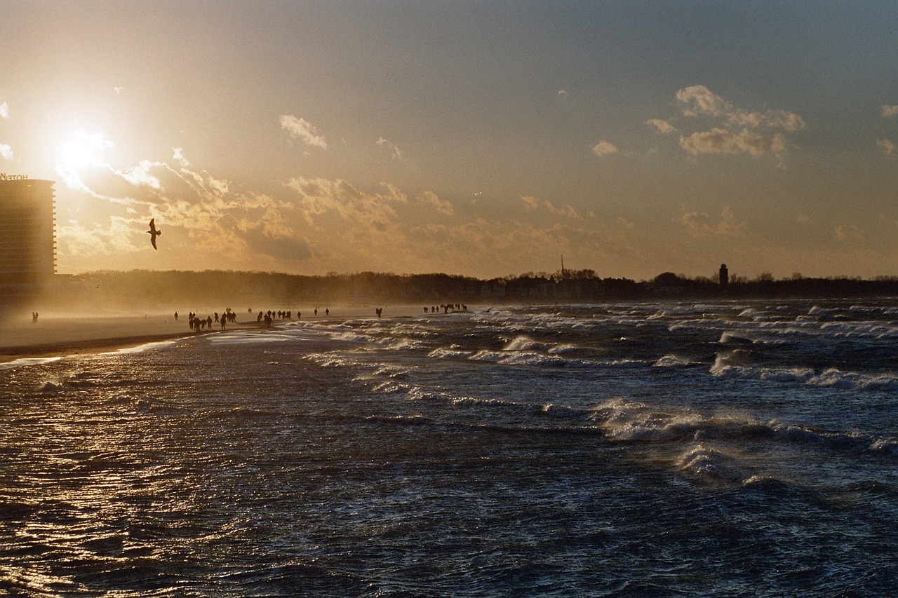 Esplorazione Incantata di Jacksonville e Tour Gastronomico a Neptune Beach