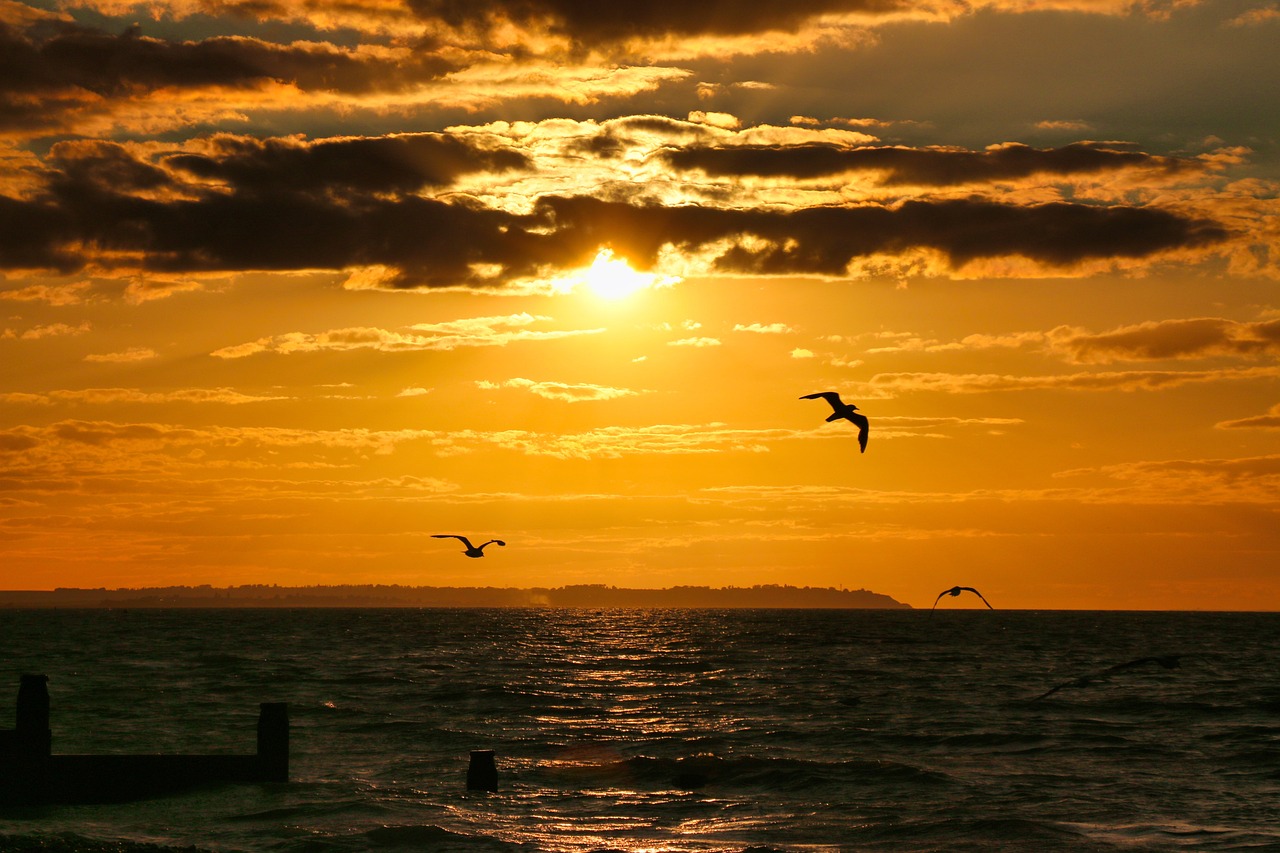 A Taste of Whitstable: Seafood and Heritage