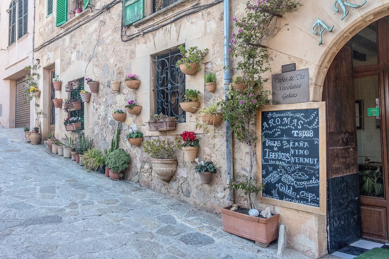 Cultural and Natural Delights of Valldemossa