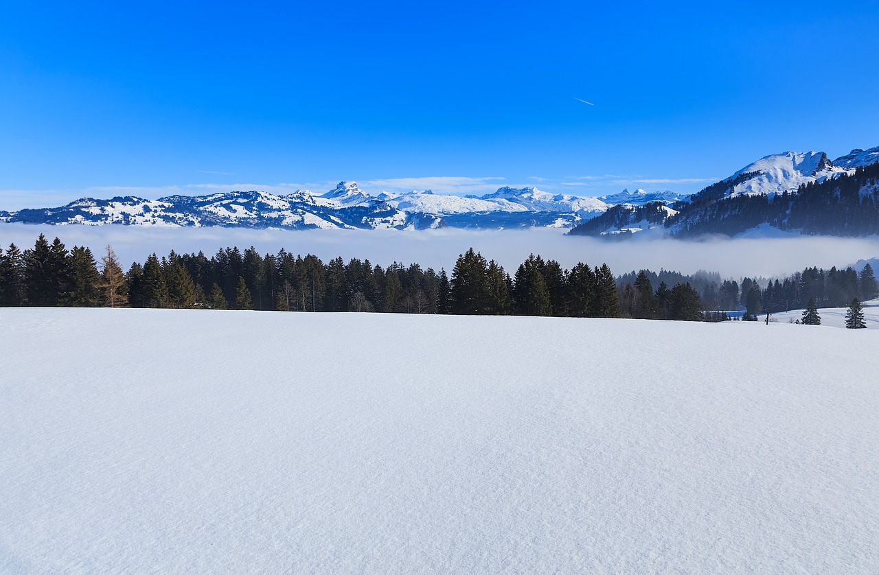 Stoos Alpine Adventure and Culinary Delights