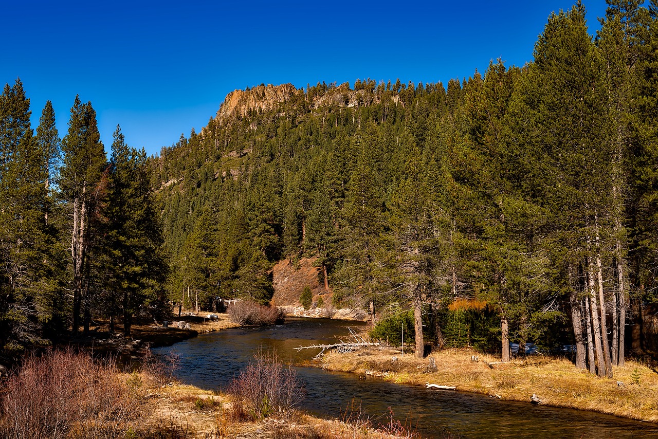 Outdoor Adventure and Culinary Delights in Truckee