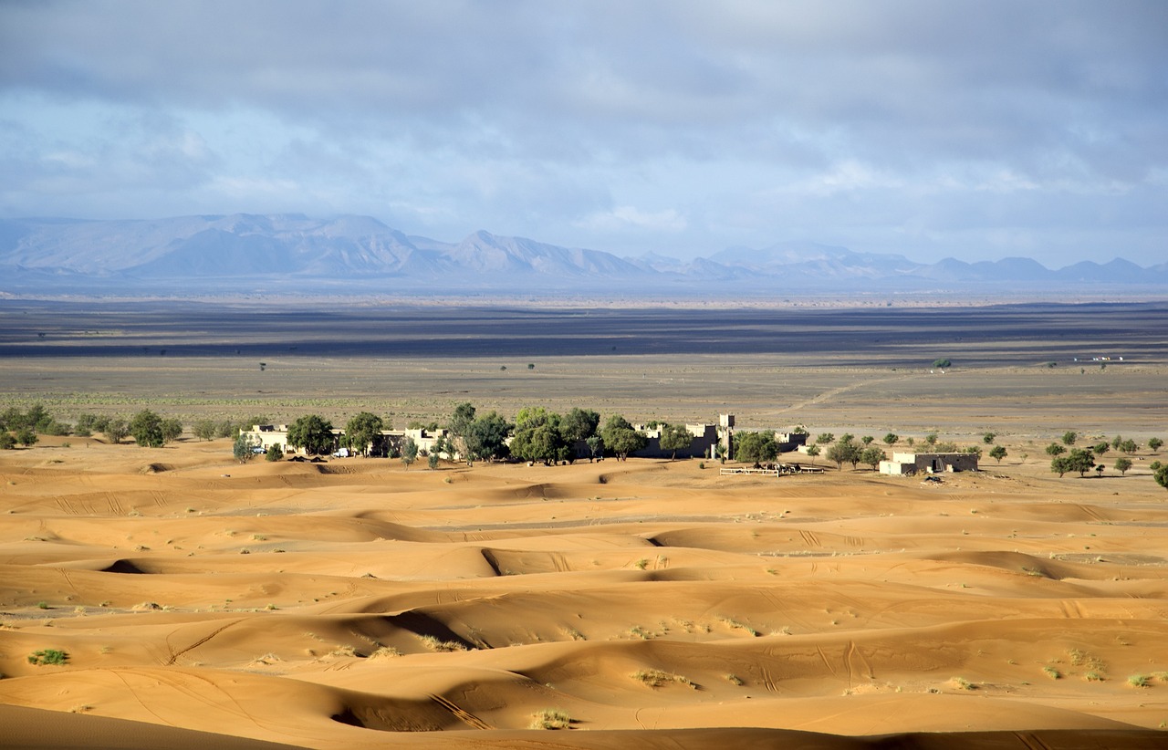 Desert Adventure and Culinary Delights in Zagora