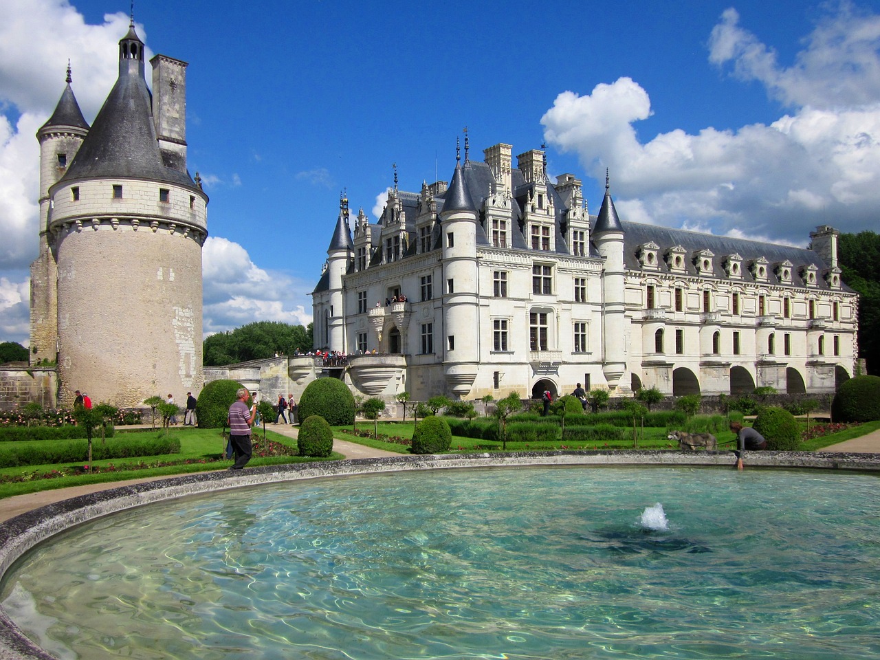 Esplorazione dei Castelli della Valle della Loira da Amboise