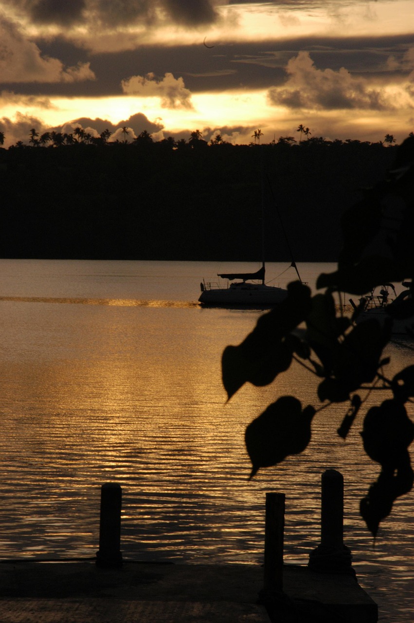 Tongan Delights in Haveluloto