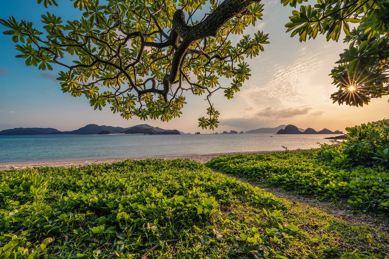 Beach Bliss and Cultural Heritage in Okinawa