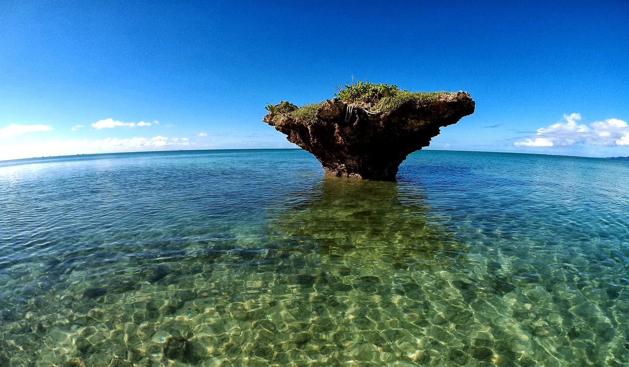 Serene Day in Ishigaki: Kayaking and Sunset Cruise