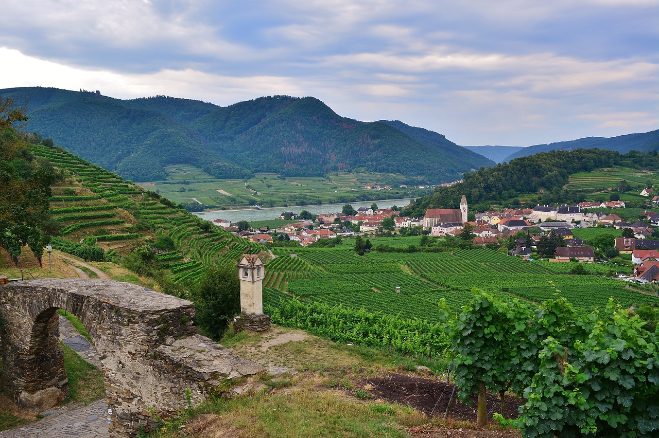 Wachau Valley River Adventures and Culinary Delights