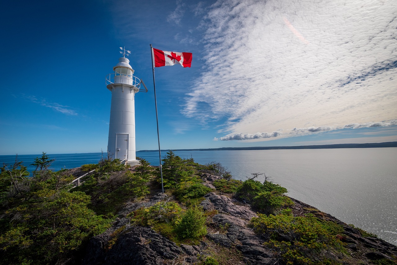 Whale Watching and Nature Exploration in Newfoundland