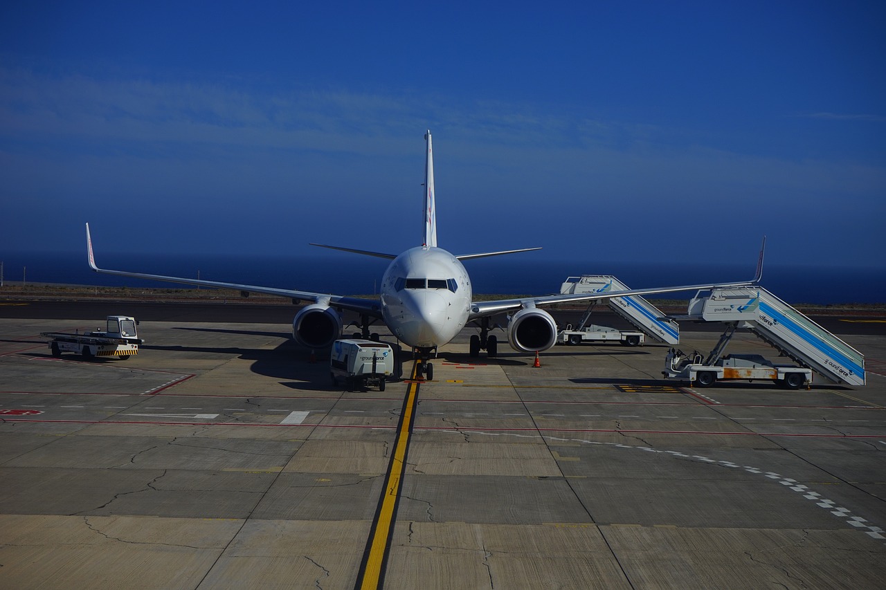 Whale Watching and Teide Stargazing in Tenerife