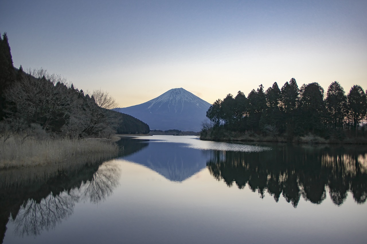 Scenic Day Trip to Shizuoka: Mt. Fuji Views & Green Tea Plantations