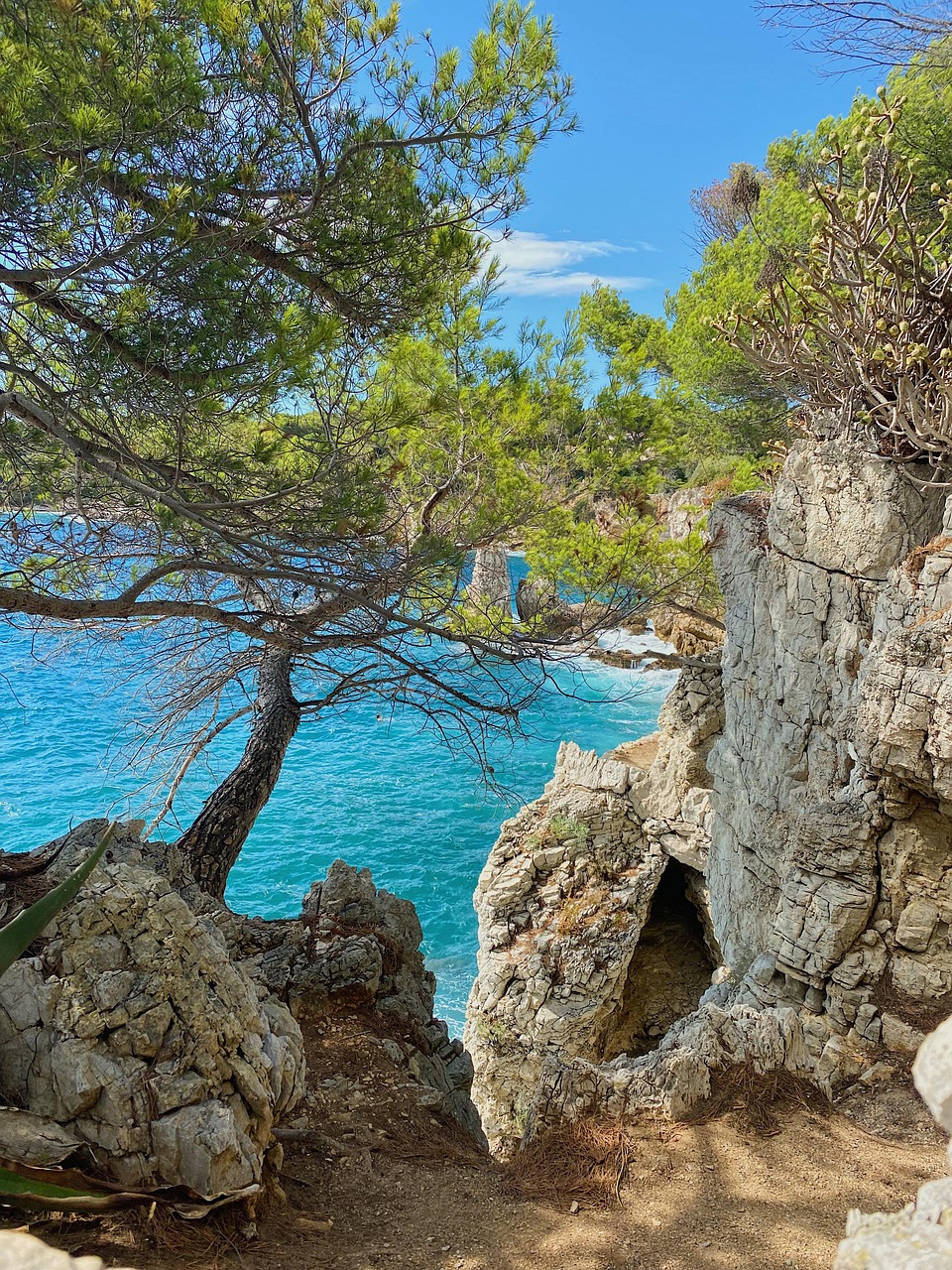 Luxury Escape to Cap d'Antibes: Seaside Bliss and Gastronomic Delights