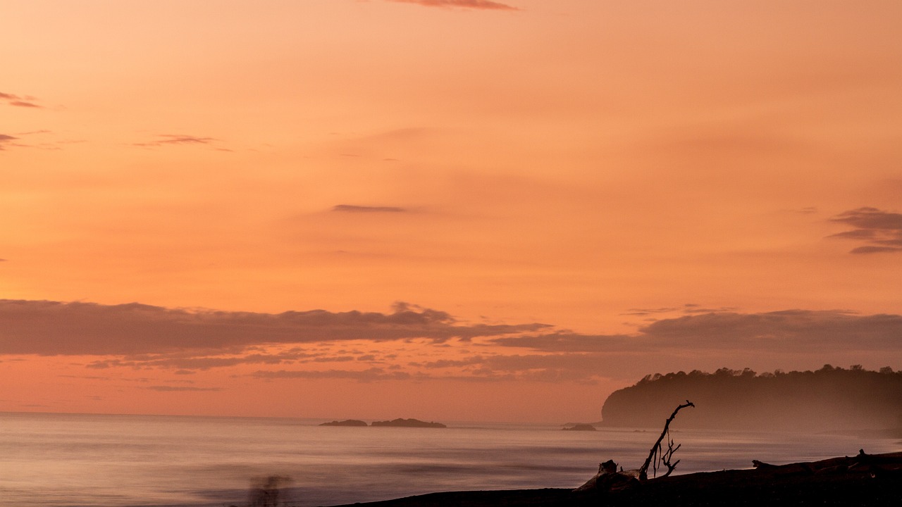 Beach Bliss and Culinary Delights in Nicoya Peninsula