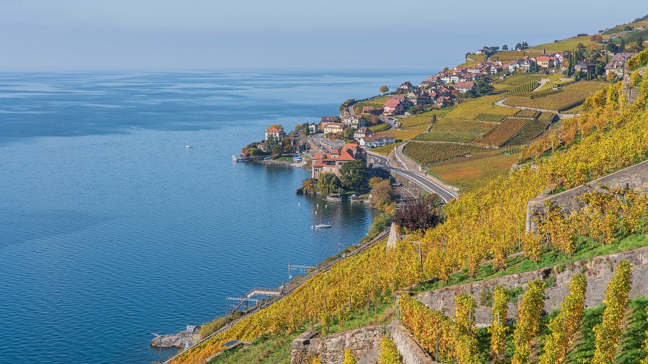 Lavaux Vineyard Terraces and Montreux Jazz Festival Day Trip