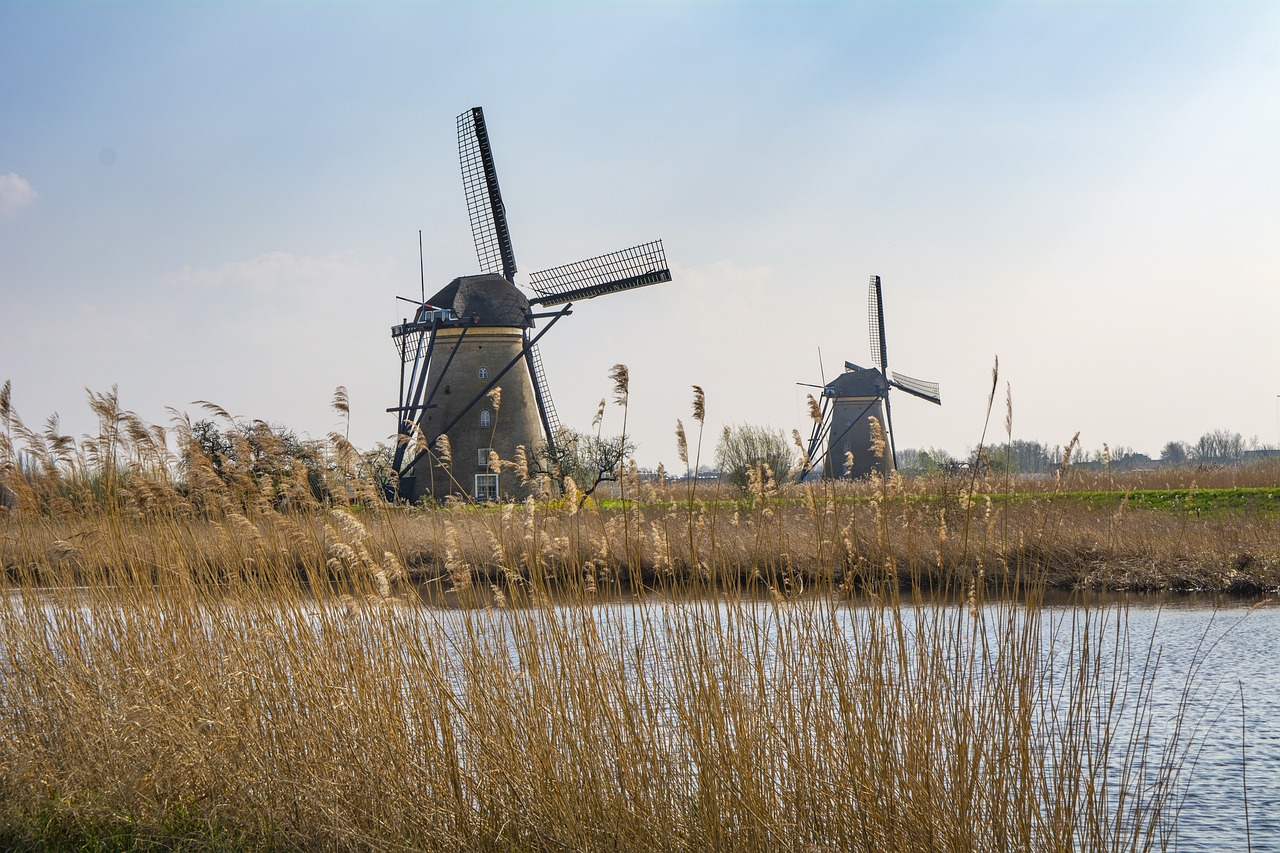 Kinderdijk Windmills and Dutch Delights