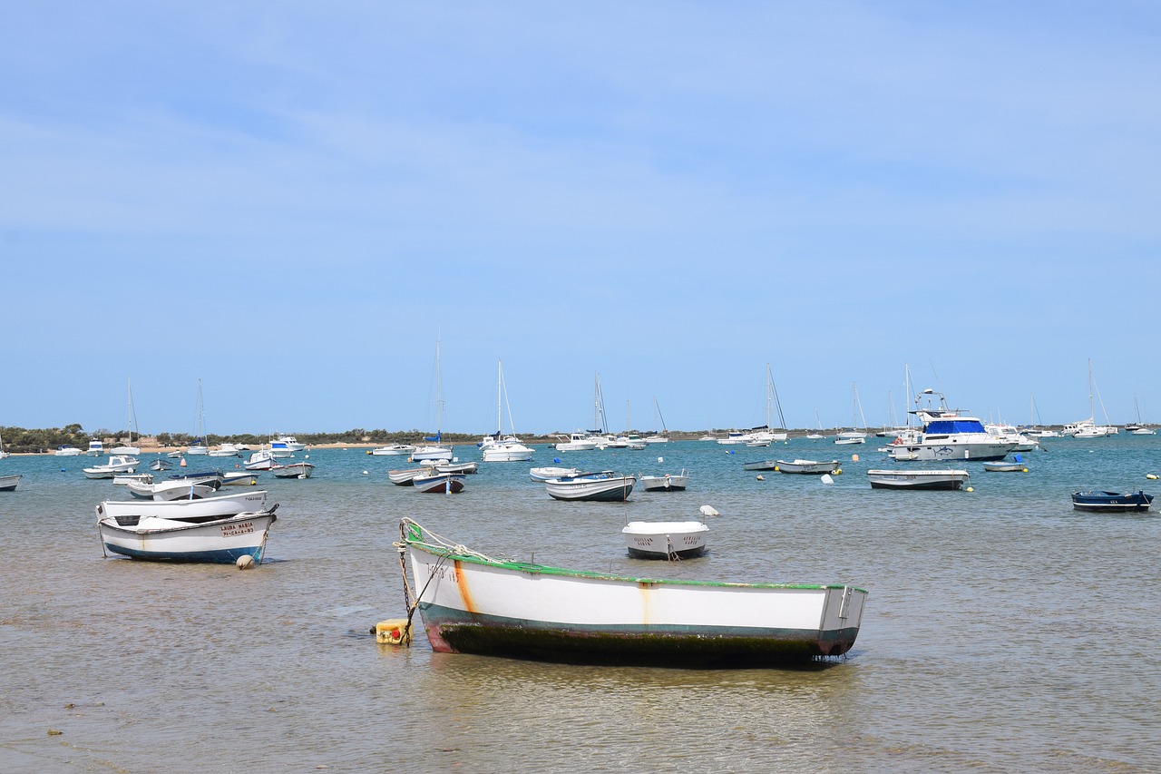 Découverte des Saveurs et de la Culture à Chiclana de la Frontera