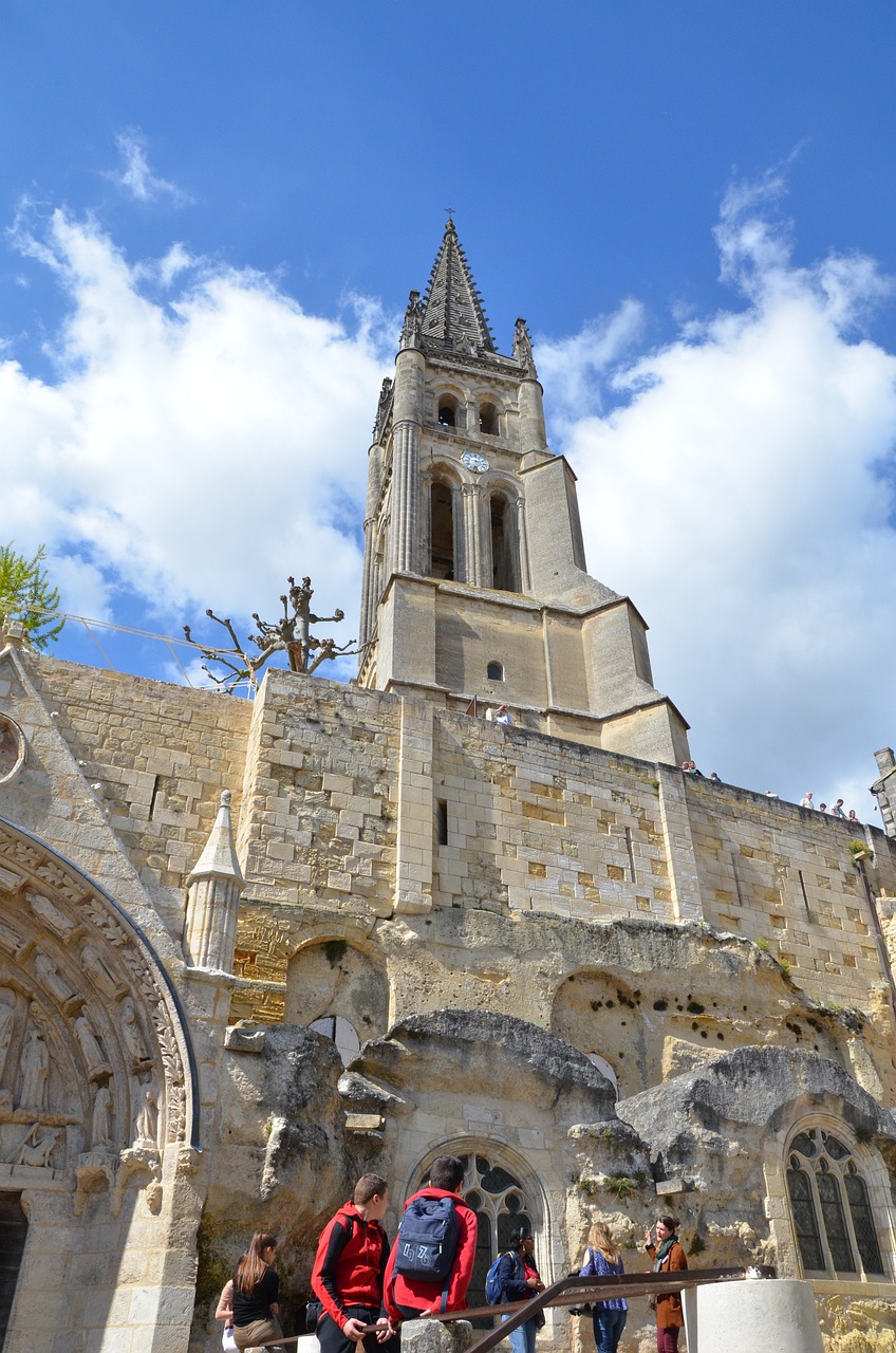 Dégustation et Découverte des Vignobles de Saint-Émilion