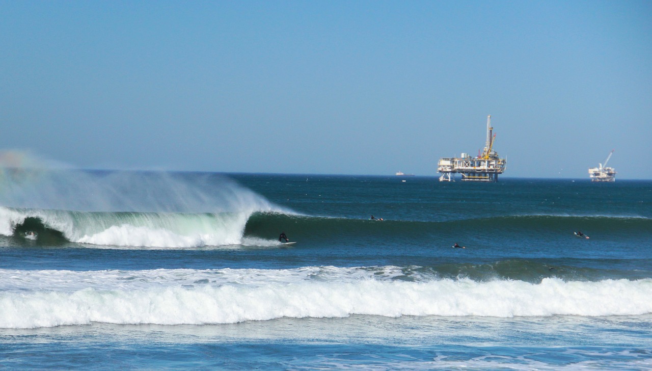 Whale Watching and Beach Delights in Huntington Beach