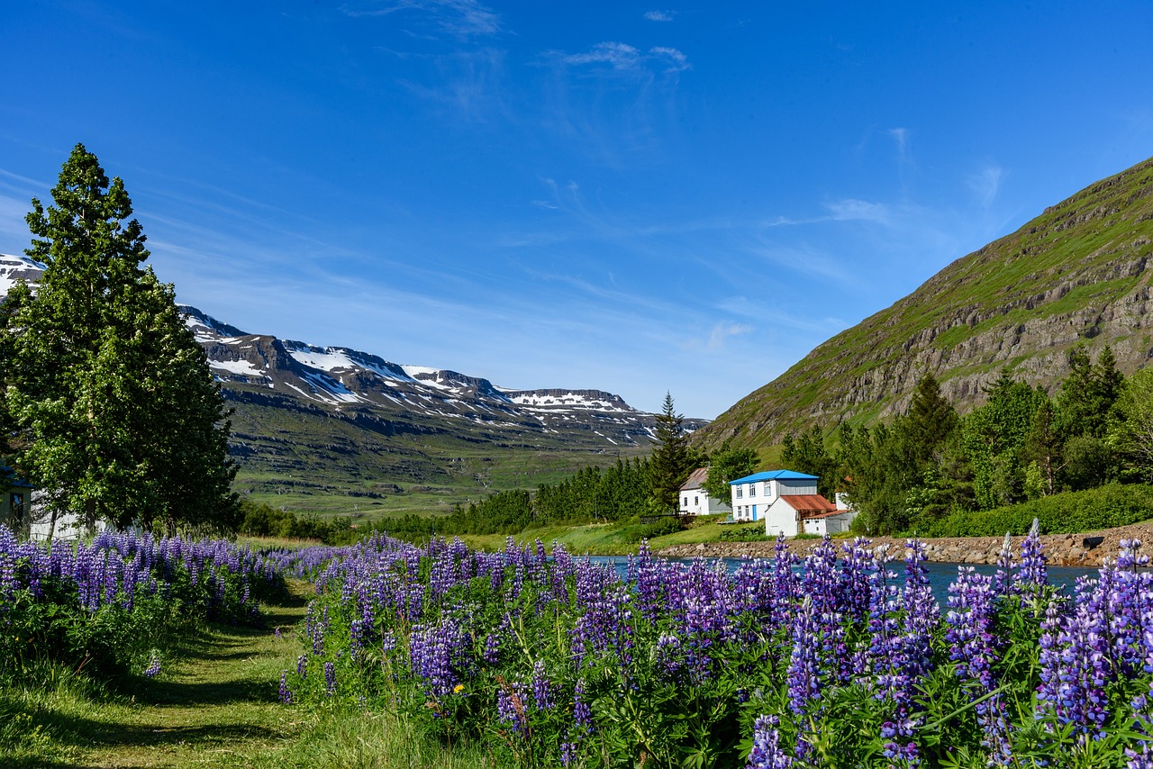 Découverte des Bains Géothermiques et de la Cuisine Locale à Seydisfjördur