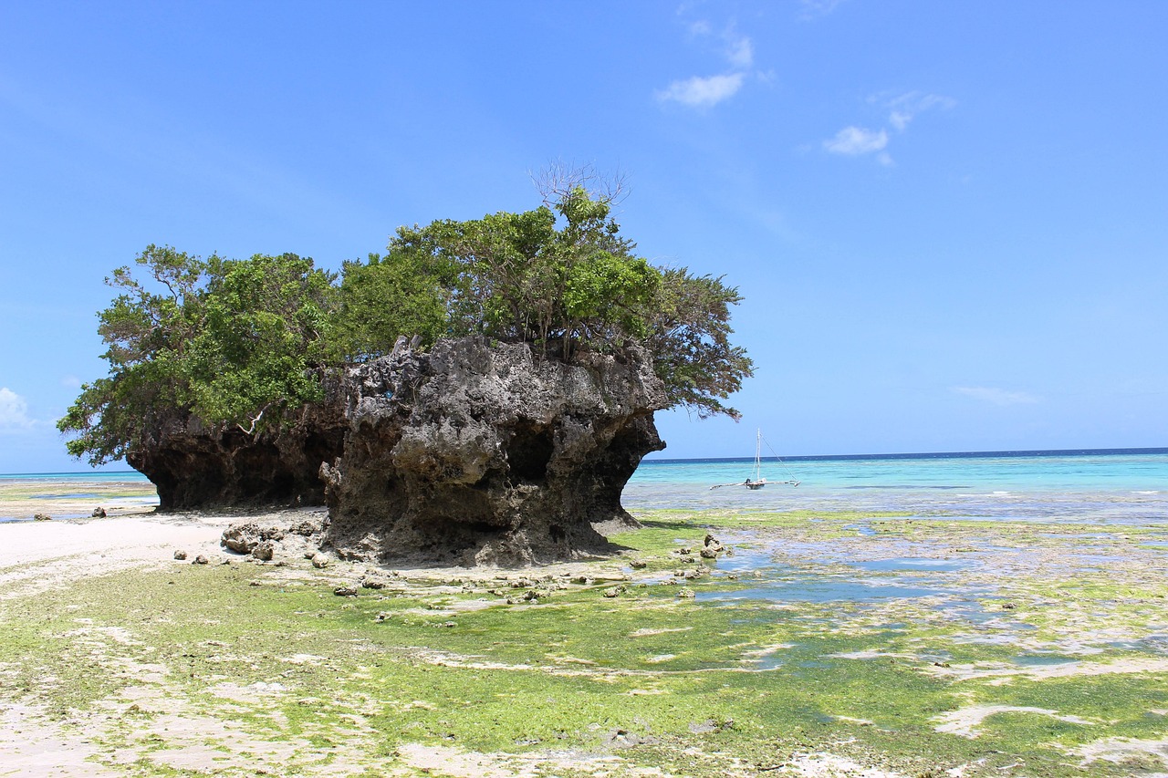 Pemba Island Paradise: Snorkeling, Spice Tours, and Sunset Views