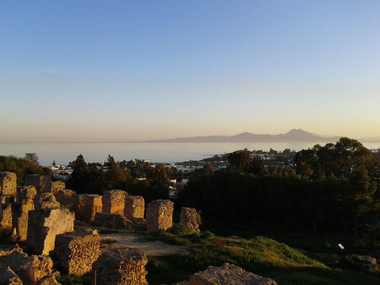 A Week of Cultural Exploration in Carthage and Tunis