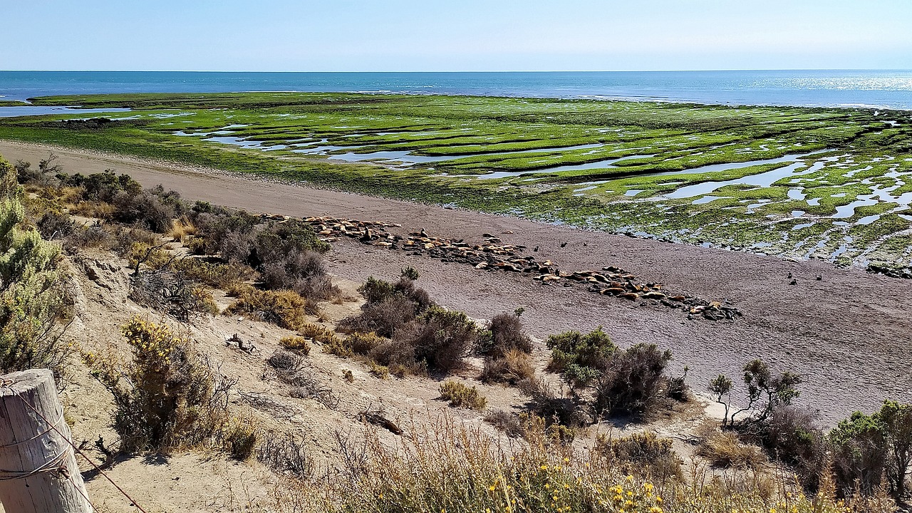 Northern Argentina's Natural Wonders and Culinary Delights