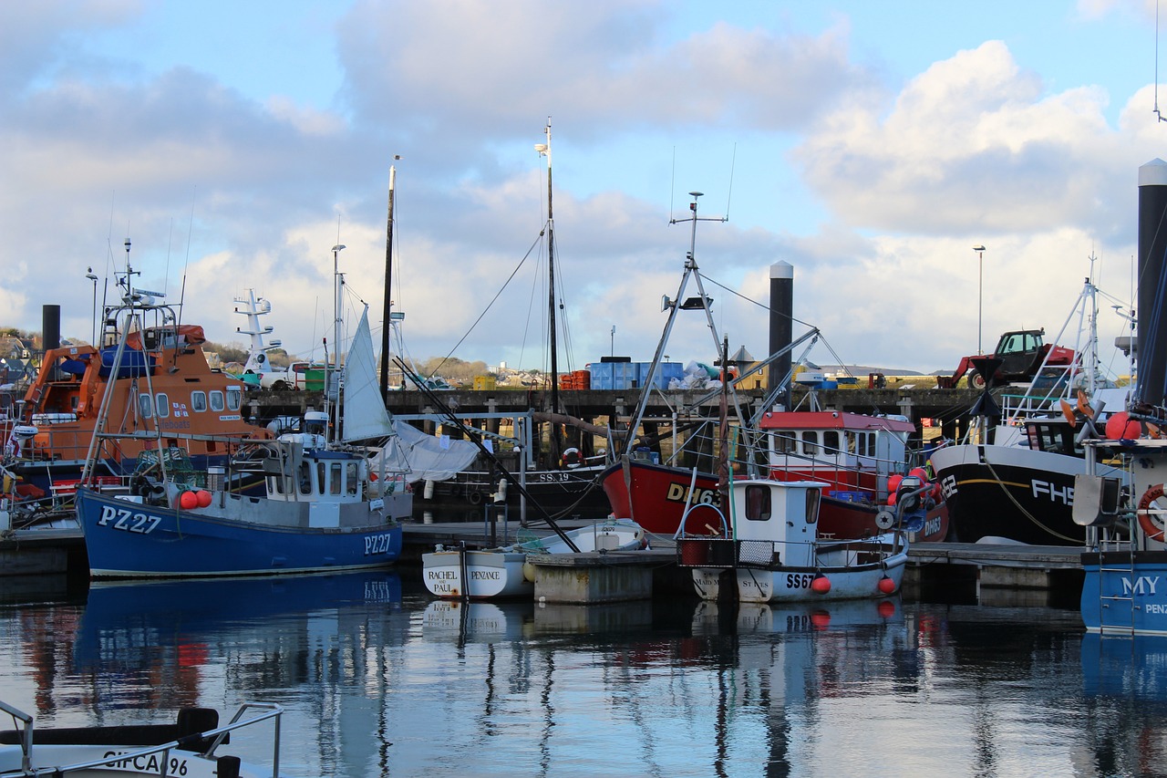 Coastal Adventure in Newlyn and Beyond