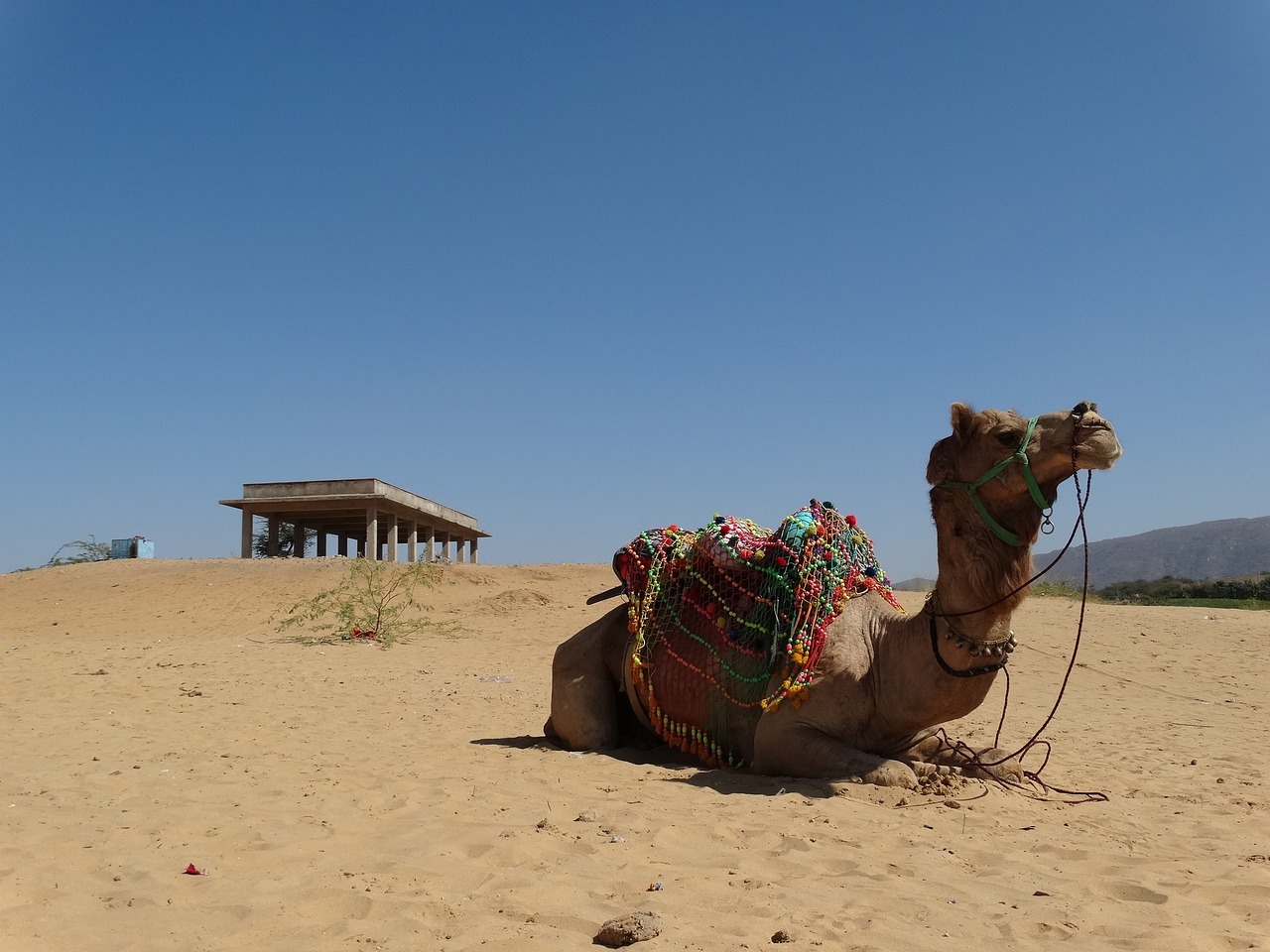 Tranquil Pushkar: Spiritual Walks and Scenic Delights