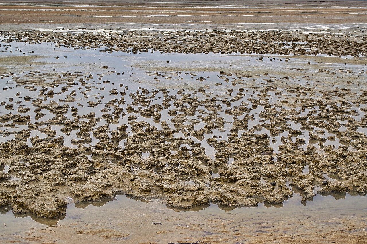 Historical Journey in Manche: D-Day Sites and Mont-Saint-Michel