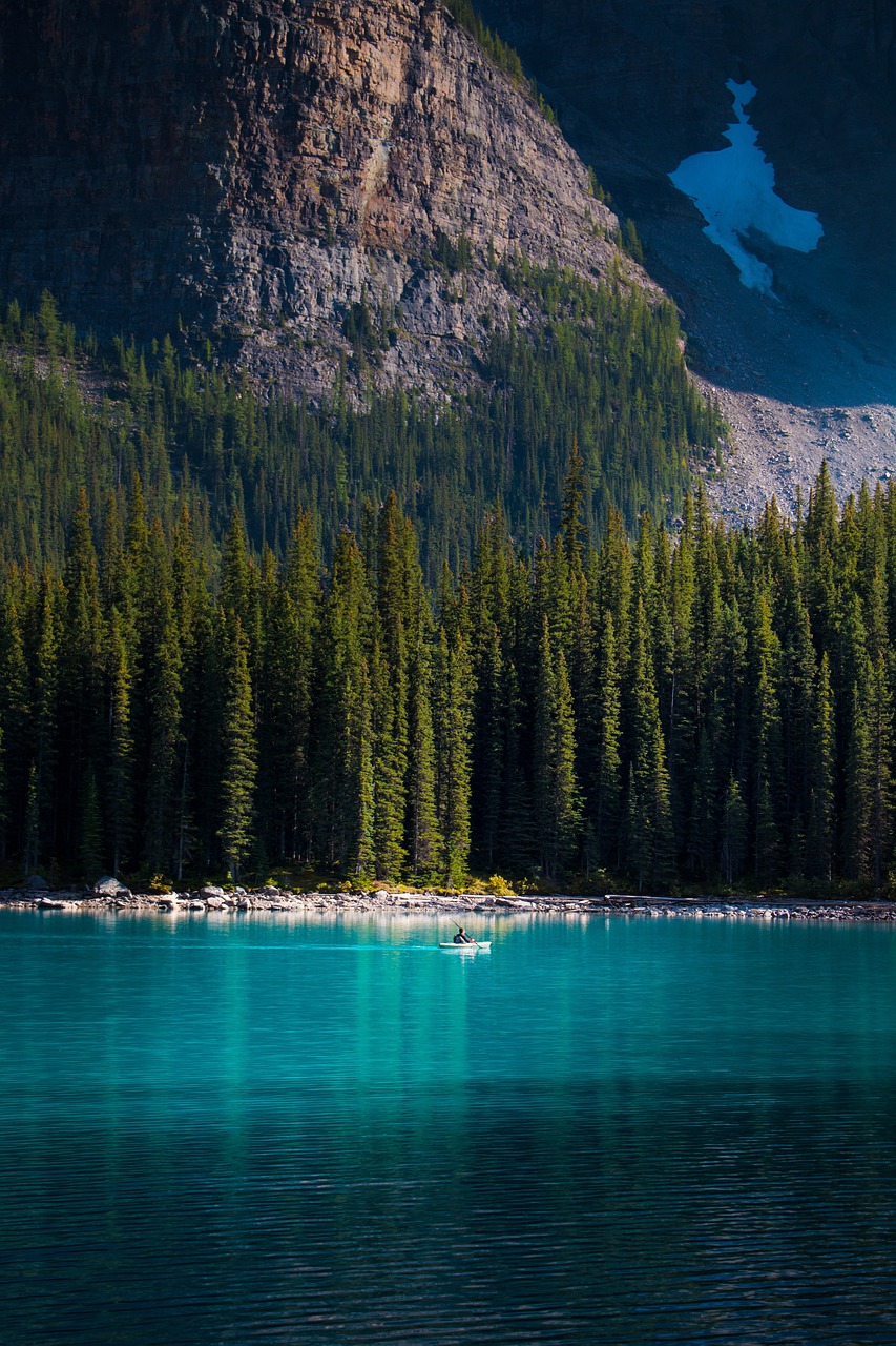 Esplorazione Panoramica di Banff e Lake Louise