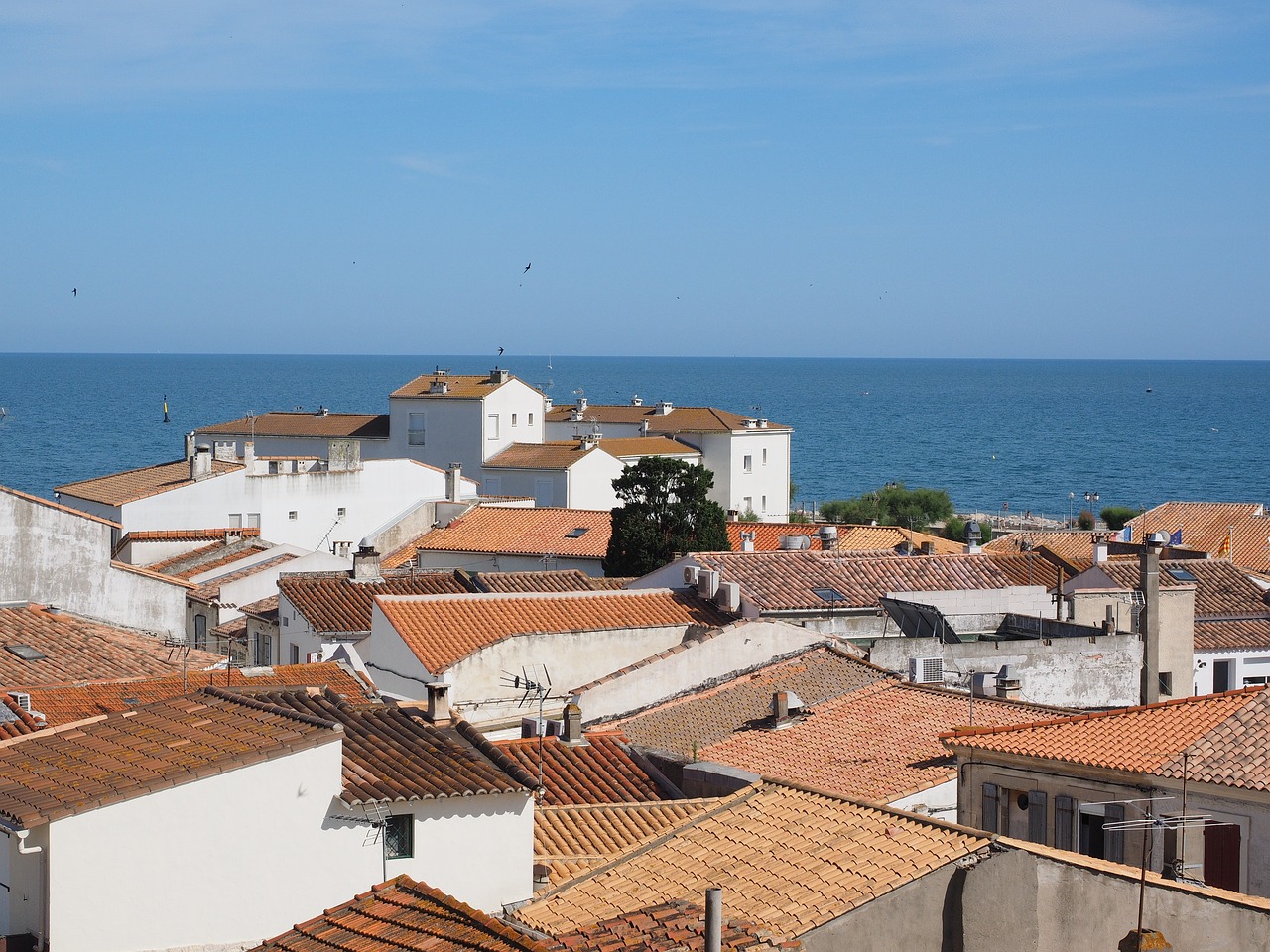 Esplorazione della Camargue e dei Suoi Dintorni