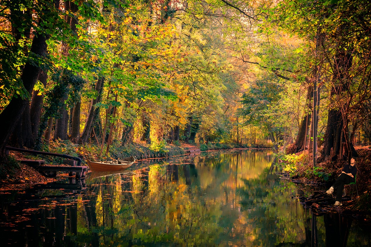 Enchanting Spreewald: Nature and Culinary Delights