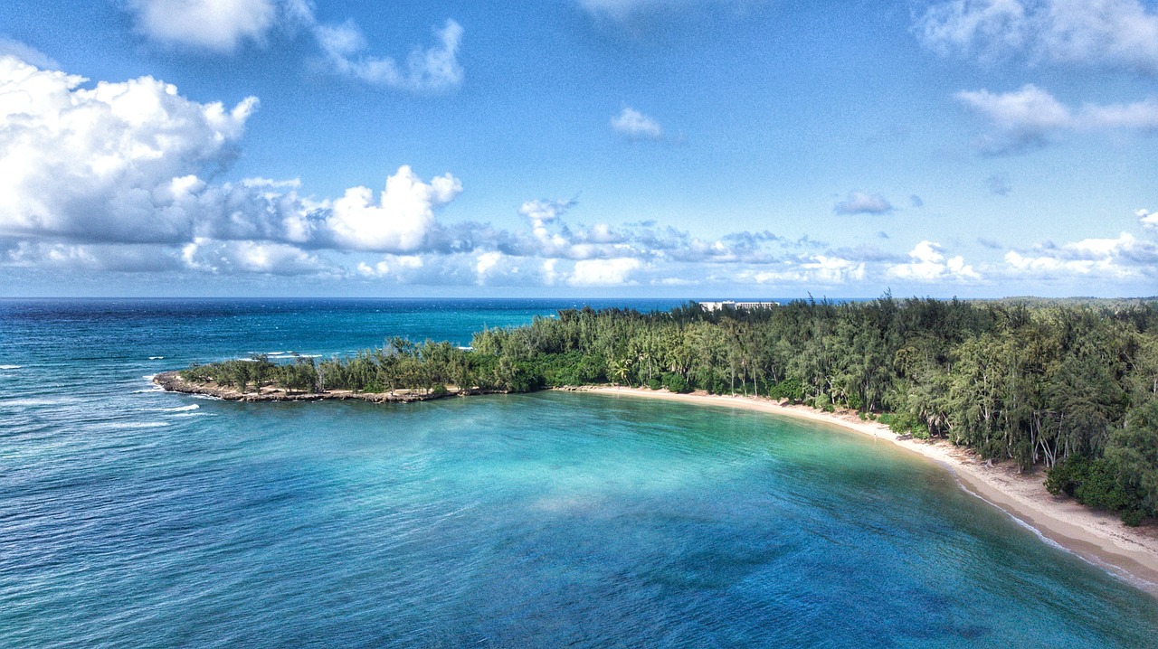 Aventure et Détente à Oahu