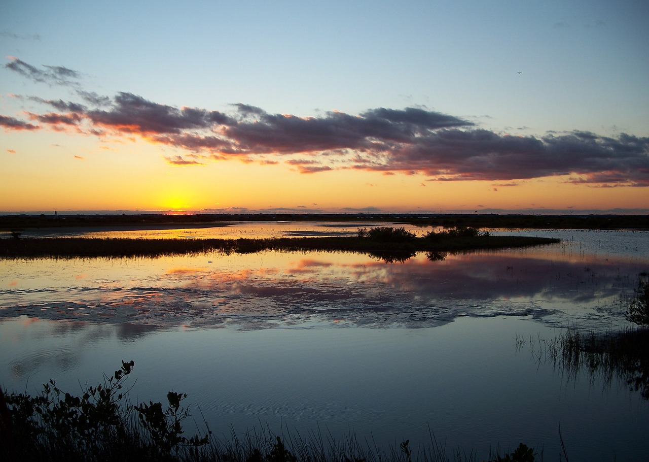 Ultimate Space and Sea Adventure in Merritt Island