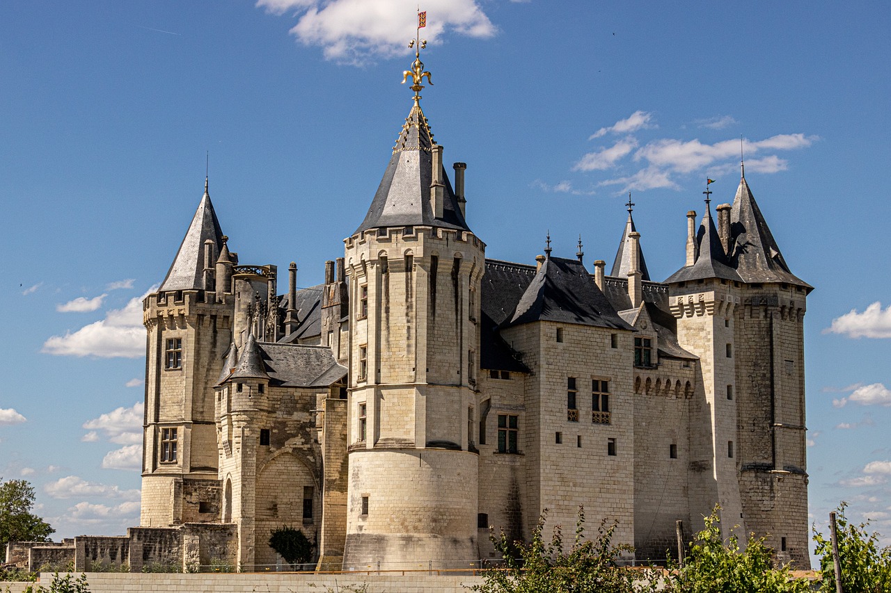 Wine and History in Saumur