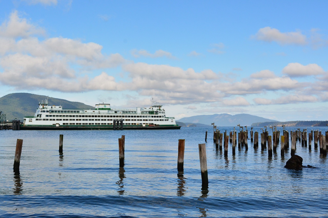 San Juan Island 5-Day Adventure with Whales and Food Tours