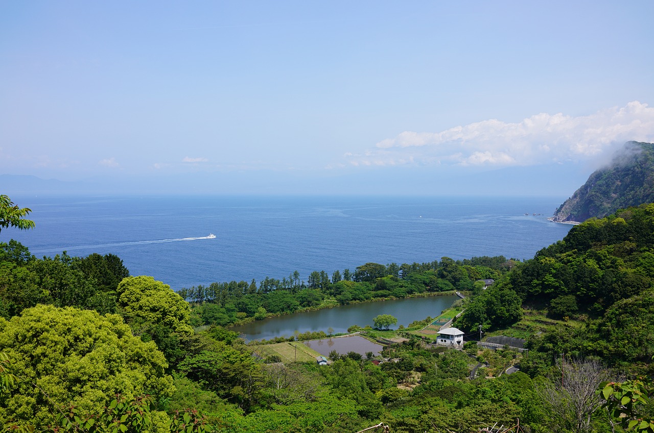 Scenic Delights and Culinary Wonders in Numazu