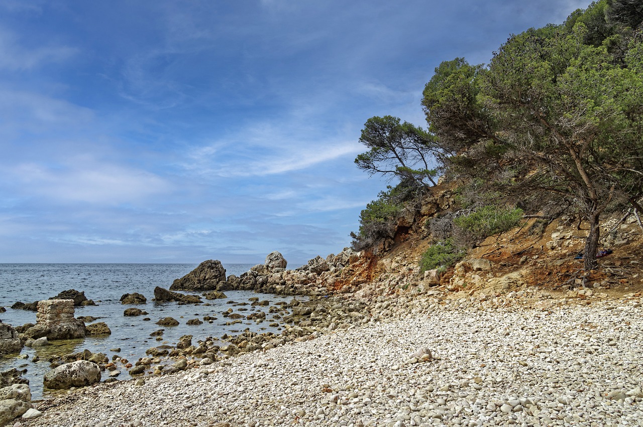 Calanques and Wine Tasting Adventure in Bandol