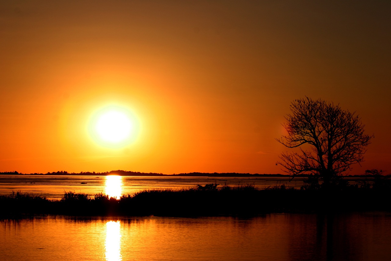 Exploring the Wonders of the Amazon River