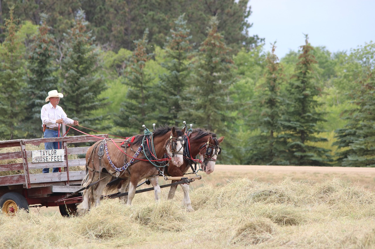 Discovering North and South Dakota in 6 Days