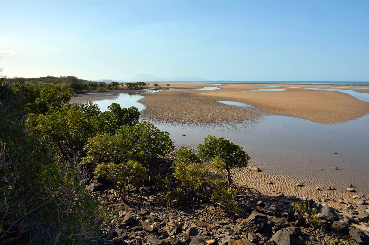 Immersive Rainforest Adventure in Cape Tribulation