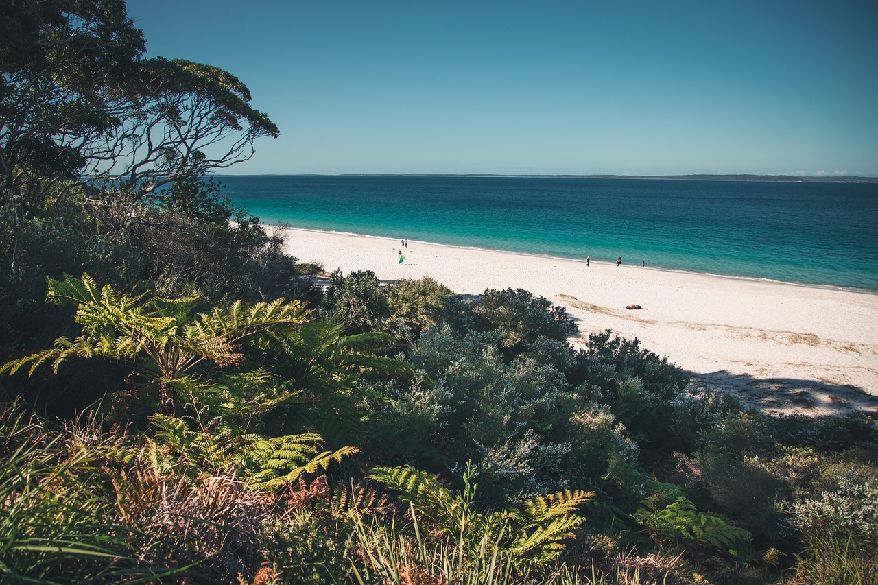 Ultimate 5-Day Jervis Bay Escape with Wildlife and Dining