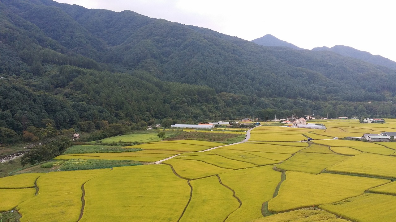 A Day of Crafts and Nature in Gapyeong