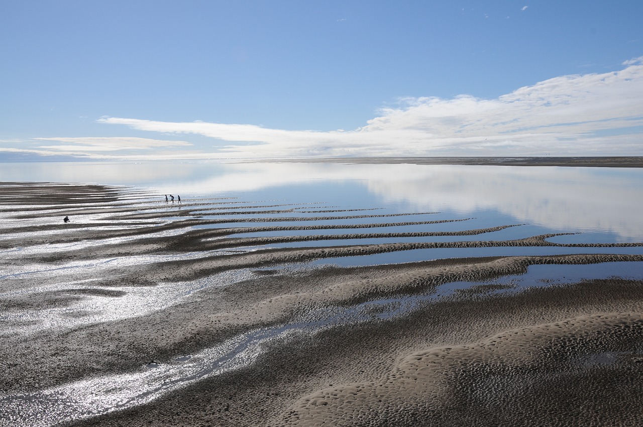 Ultimate 9-Day Hervey Bay and Fraser Island Adventure