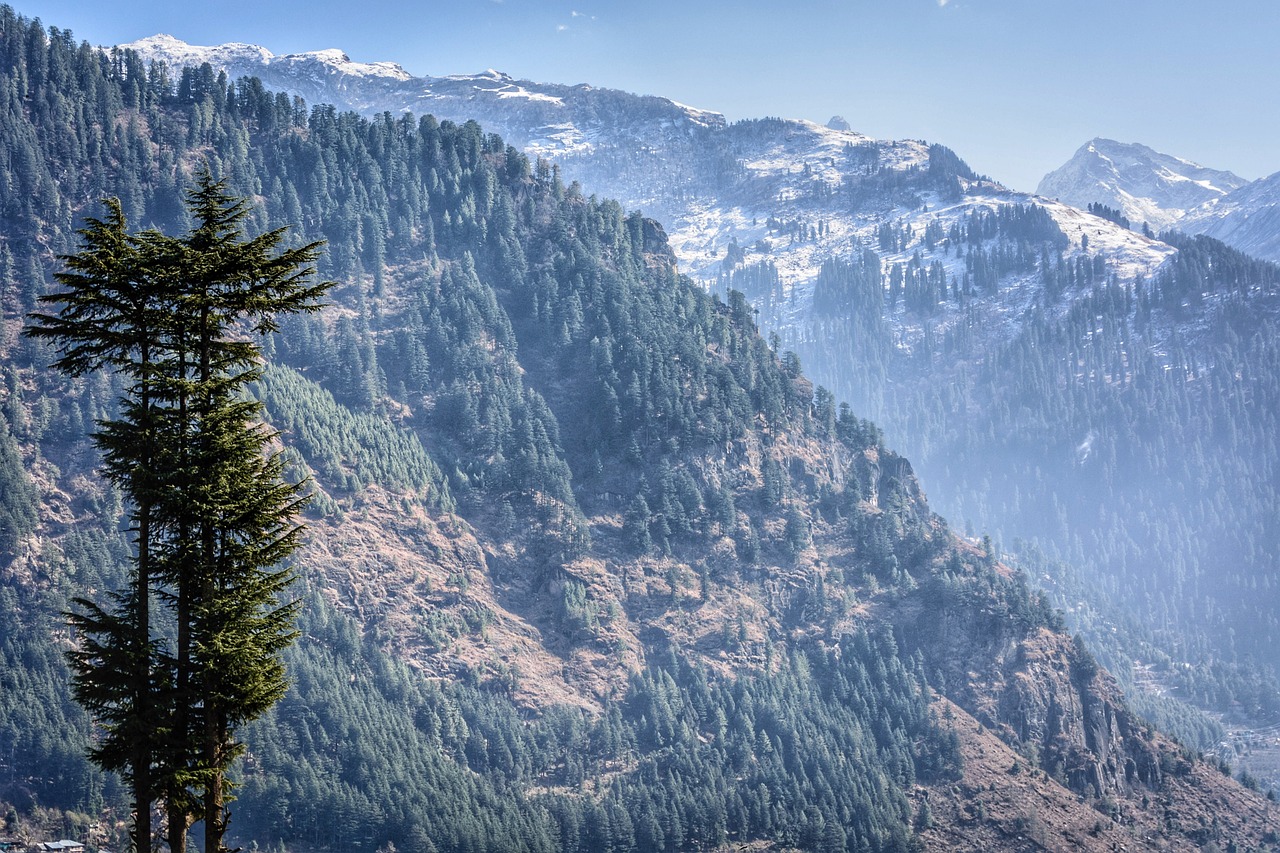 Scenic Serenity in Manali: 3-Day Nature Escape