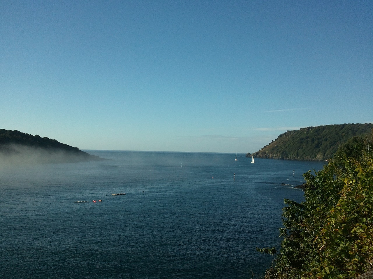 Scenic Seaside Delights in Salcombe