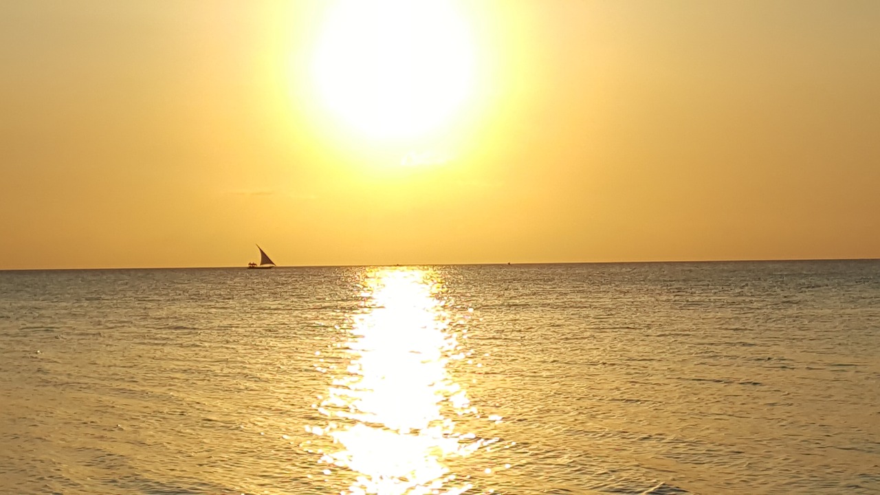 Esperienze Marine a Zanzibar: Snorkeling, Delfini e Spiagge