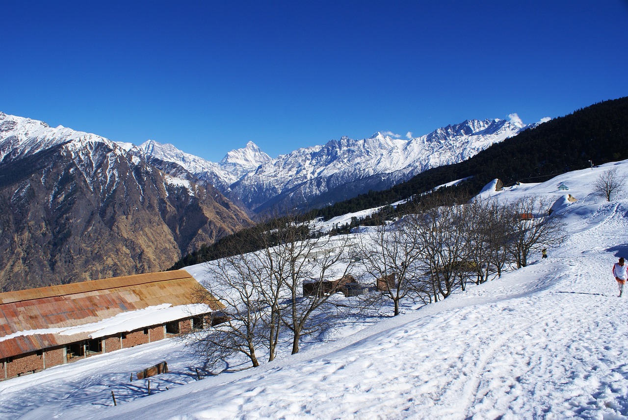 A Week of Serenity in Auli