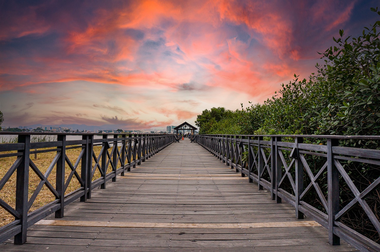 Guayaquil City and Nature Exploration