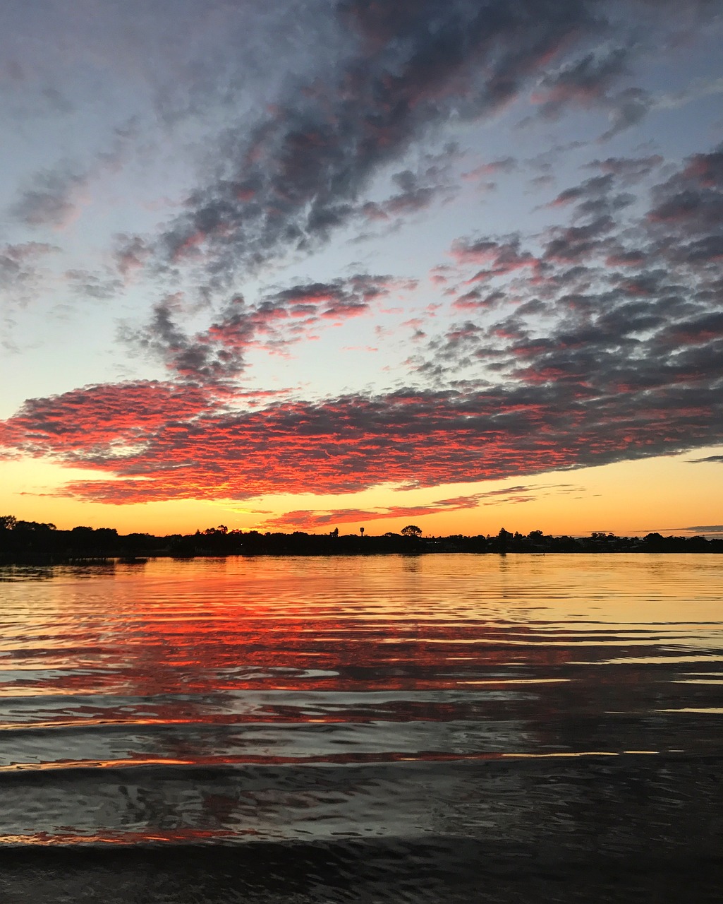 Ultimate Coastal Adventure in Mandurah