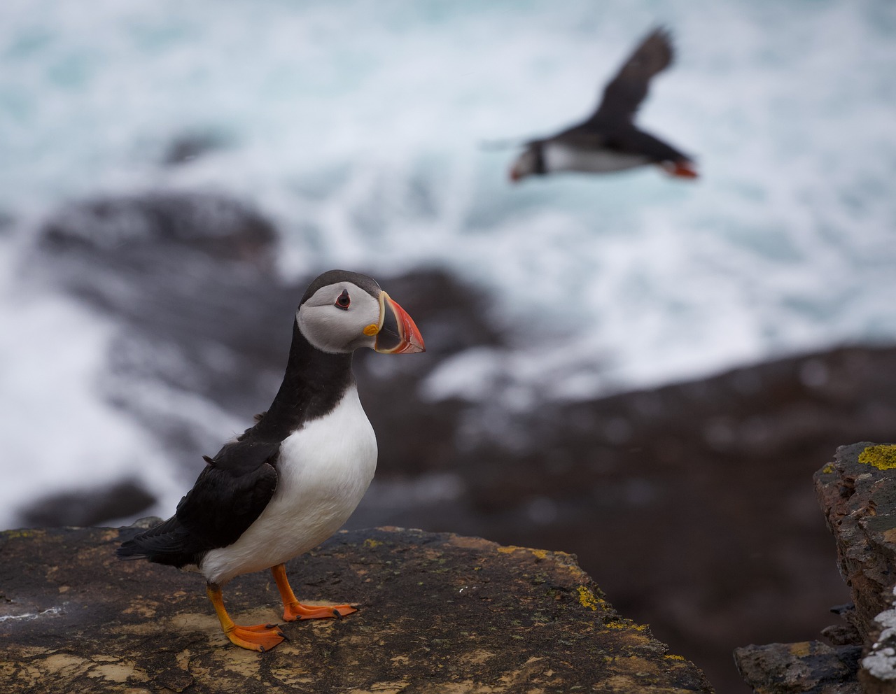 Orkney Nature and Archaeology Exploration